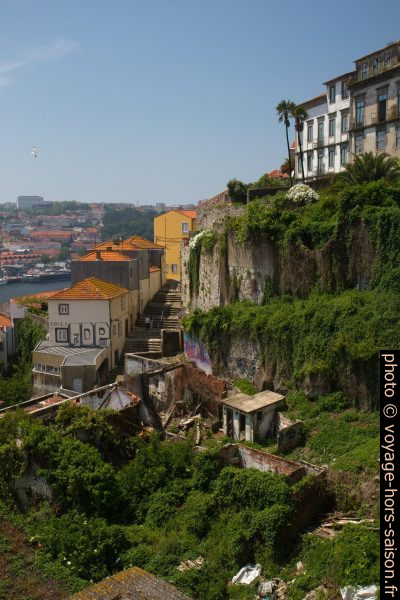 Escada das Verdades et jardins délaissés. Photo © Alex Medwedeff