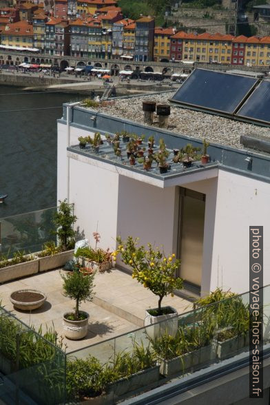 Terrasse avec plantes en pots. Photo © Alex Medwedeff