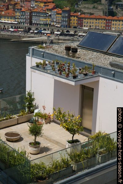 Terrasse avec plantes en pots. Photo © Alex Medwedeff