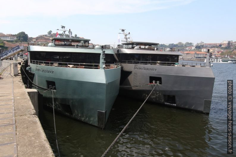 Deux navires de croisière sur le Douro. Photo © André M. Winter