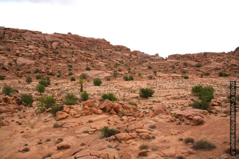 Haut plateau sablonneux entre Tazka et Aguard Oudad. Photo © André M. Winter