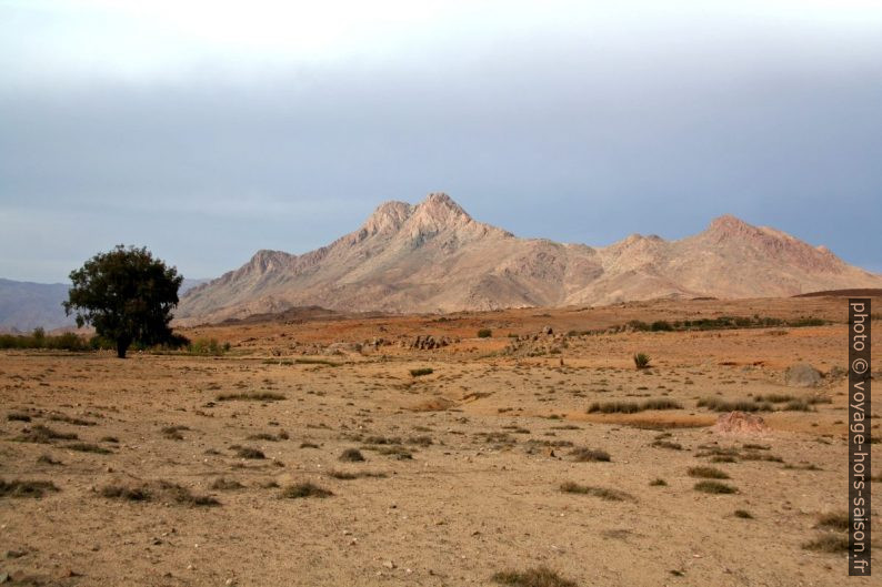 Adrar Mqorn, 2344 m. Photo © Alex Medwedeff