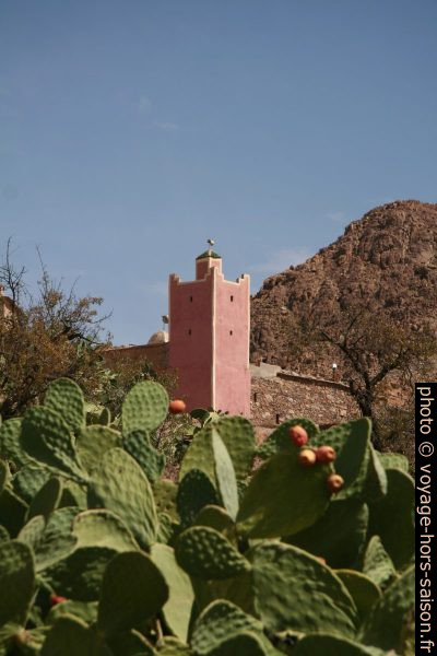 Mosquée de Douar Azrhar. Photo © Alex Medwedeff