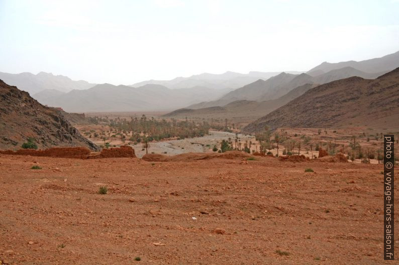 Oasis au sud de Souk Khemis d'Issafen. Photo © André M. Winter