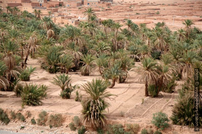 Oasis de Tisgui-Ida-ou-Ballou. Photo © André M. Winter