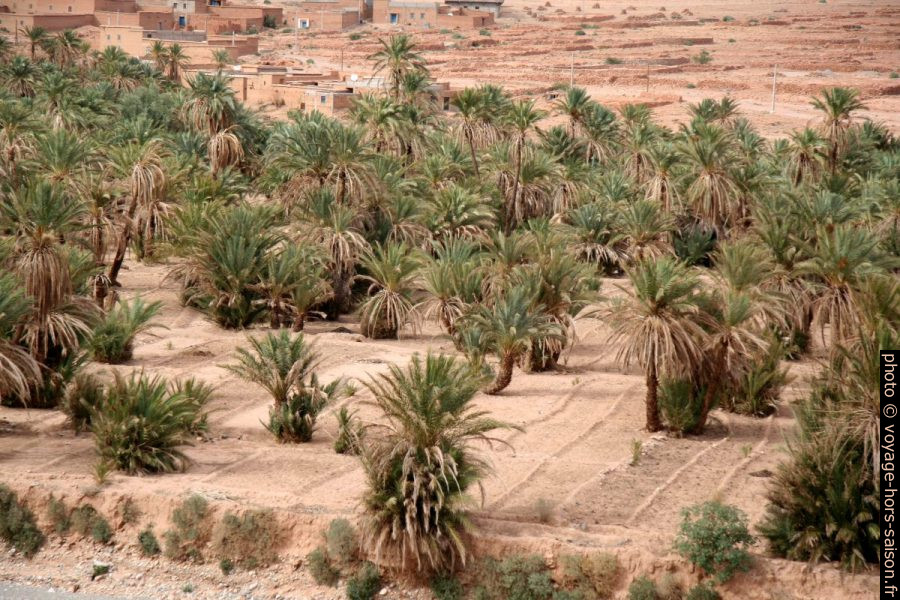 Oasis de Tisgui-Ida-ou-Ballou. Photo © André M. Winter