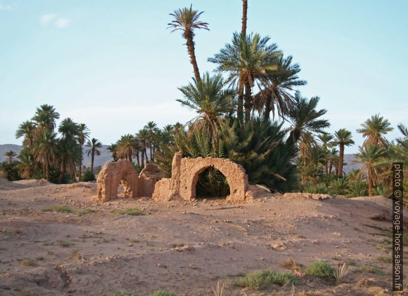 Ruines d'une mosquée au sud de Tata. Photo © Alex Medwedeff