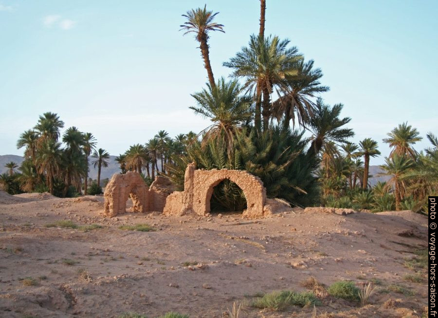 Ruines d'une mosquée au sud de Tata. Photo © Alex Medwedeff