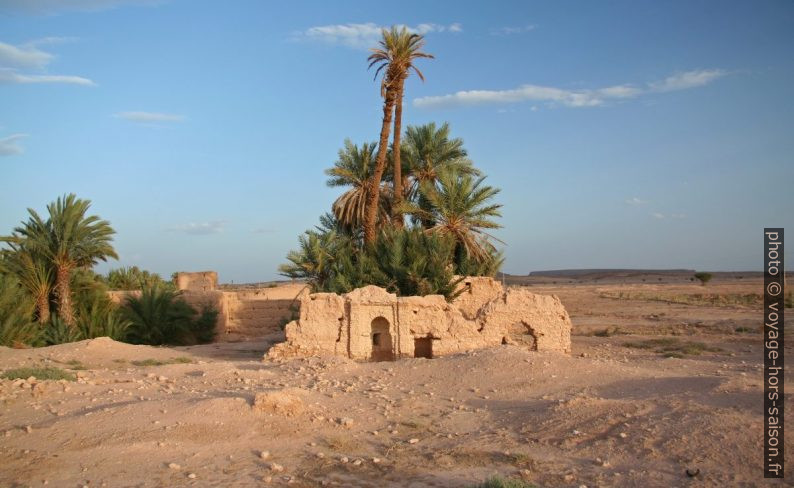 Ruines d'une mosquée au sud de Tata. Photo © André M. Winter