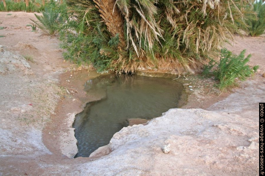 Trou d'eau dans le désert au sud de Tata. Photo © André M. Winter
