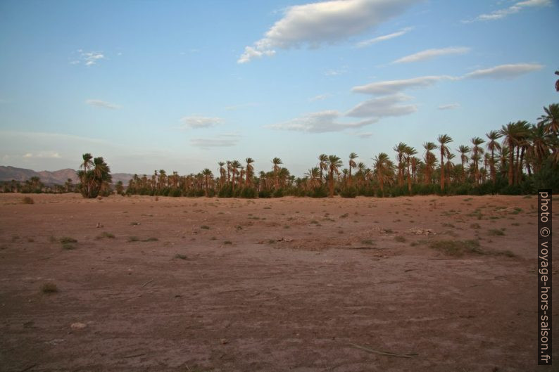 Oasis au sud de Tata. Photo © André M. Winter