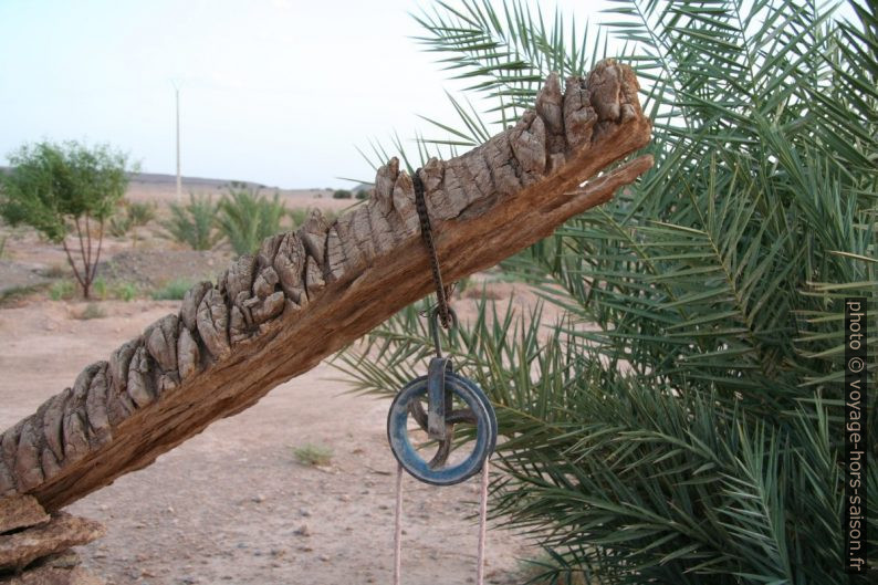Poulie sur tronc de palmier-dattier. Photo © André M. Winter