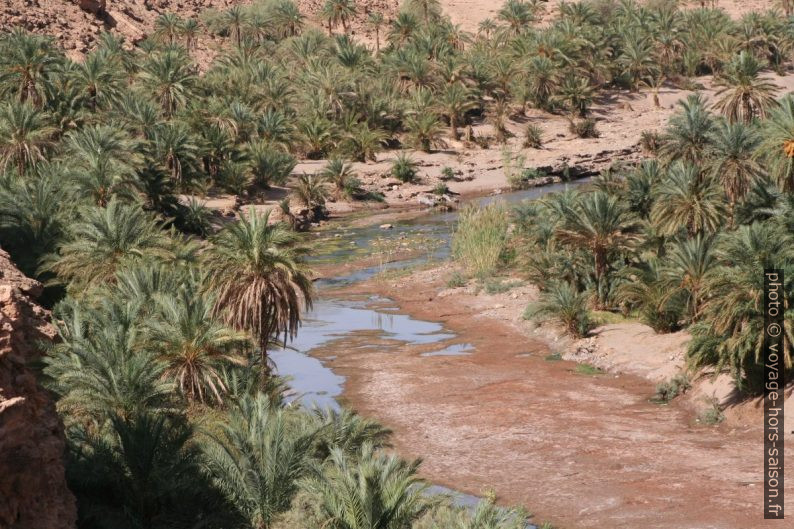 Oasis de l'Oued Tissint. Photo © André M. Winter