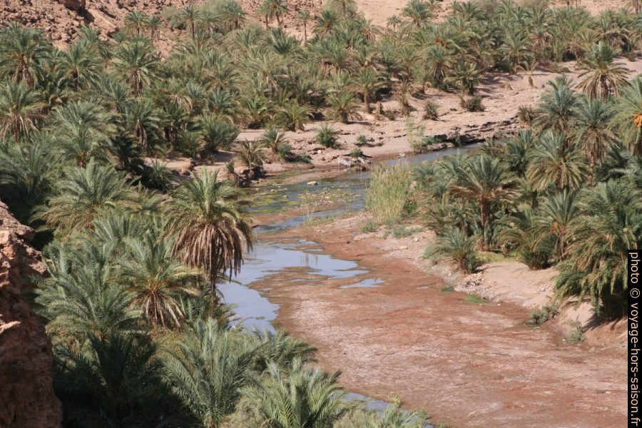 Oasis de l'Oued Tissint. Photo © André M. Winter