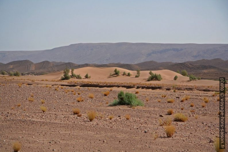 Sable et arêtes rocheuses au nord du Sahara. Photo © André M. Winter