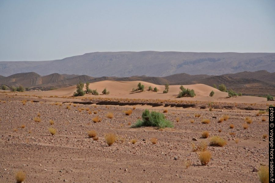 Sable et arêtes rocheuses au nord du Sahara. Photo © André M. Winter