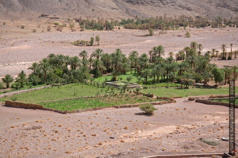 Champs maraîcher au bord d'un oued. Photo © André M. Winter