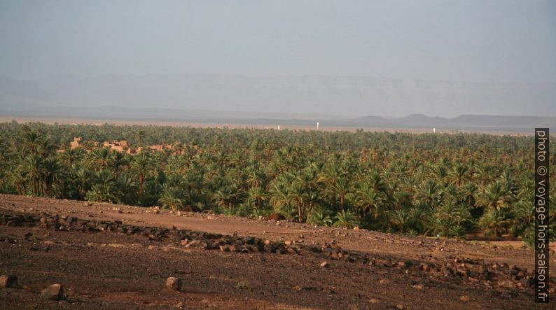 Oasis dans la vallée du Drâa. Photo © André M. Winter