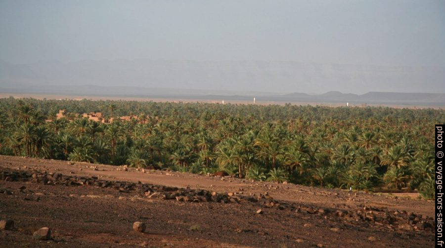 Oasis dans la vallée du Drâa. Photo © André M. Winter