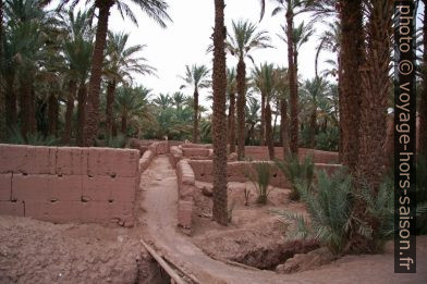 Parcelles dans la palmeraie de Zagora. Photo © André M. Winter