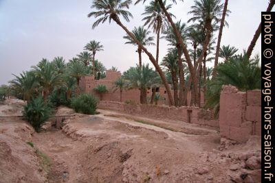Canal d'irrigation longeant l'oued et au sud de l'Hôtel La Fibule du Drâa. Photo © André M. Winter