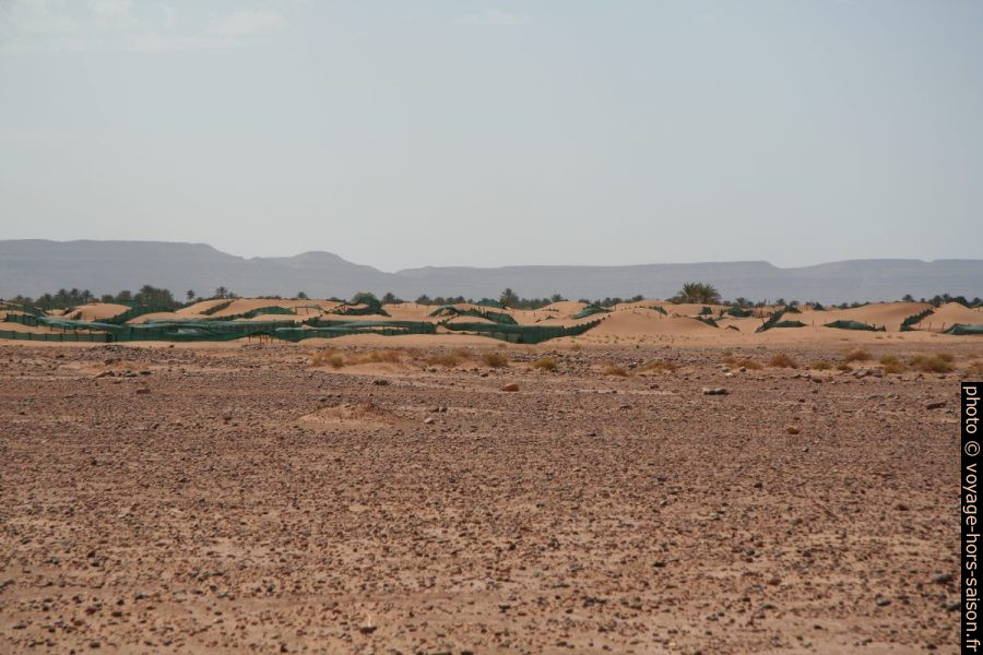 Stabilisations de dunes dans la vallée du Drâa près de Askejour. Photo © André M. Winter