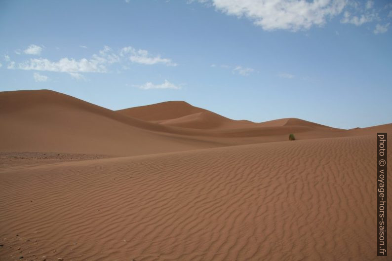 Au sud des dunes de Tinfou. Photo © André M. Winter