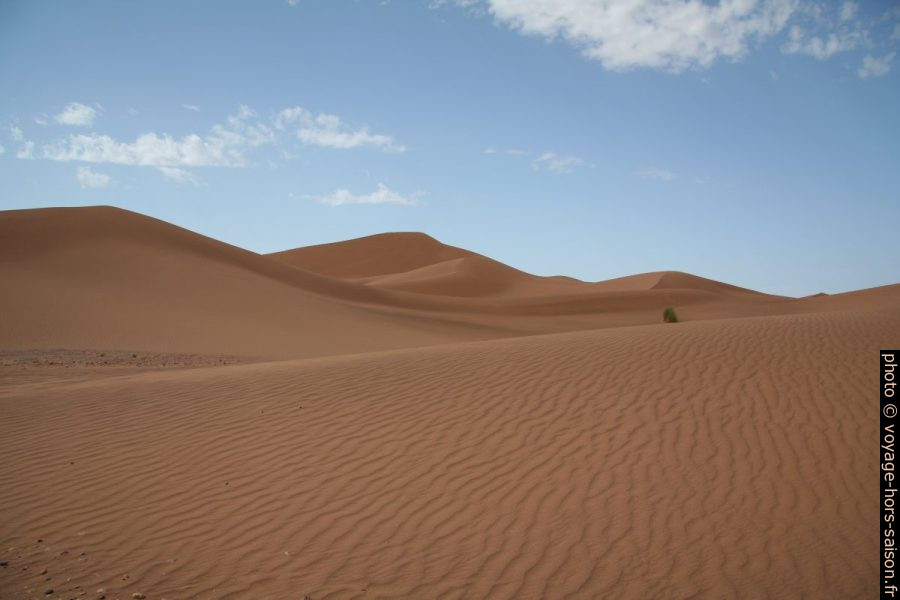 Au sud des dunes de Tinfou. Photo © André M. Winter
