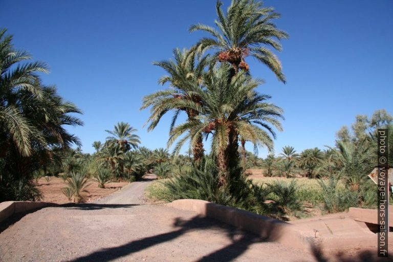 Circuit touristique dans l'Oasis du Drâa. Photo © André M. Winter
