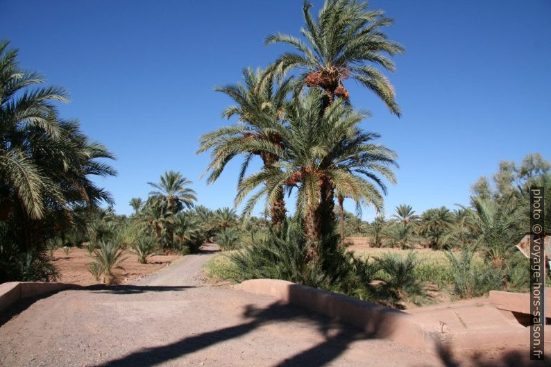 Circuit touristique dans l'Oasis du Drâa. Photo © André M. Winter