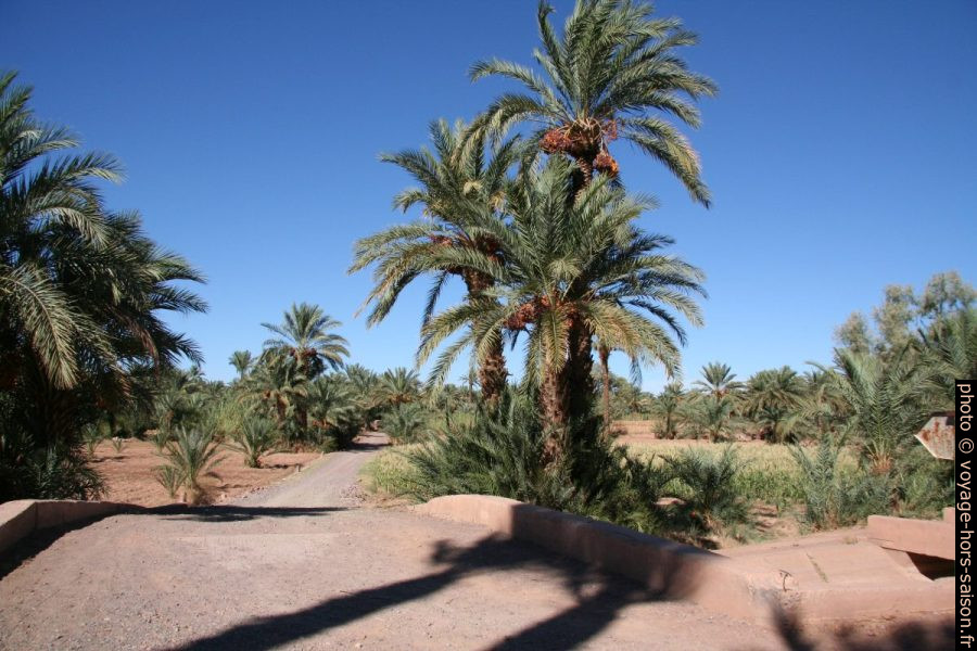 Circuit touristique dans l'Oasis du Drâa. Photo © André M. Winter