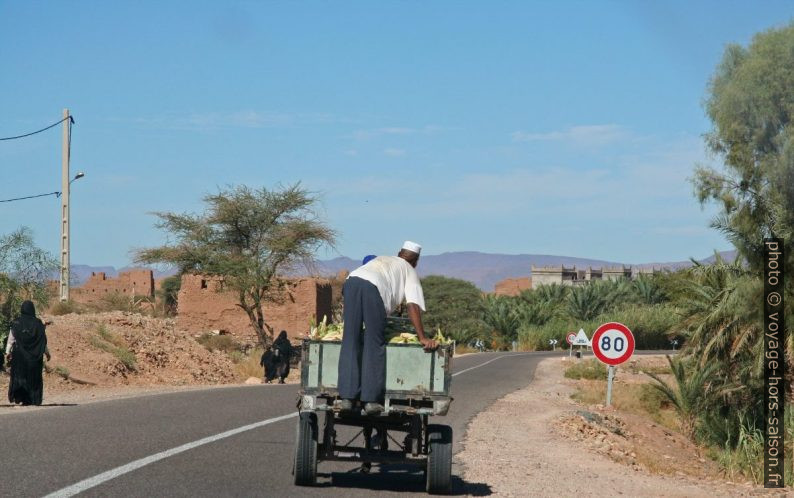 Chariot tiré par un âne sur une route principale au Maroc. Photo © André M. Winter