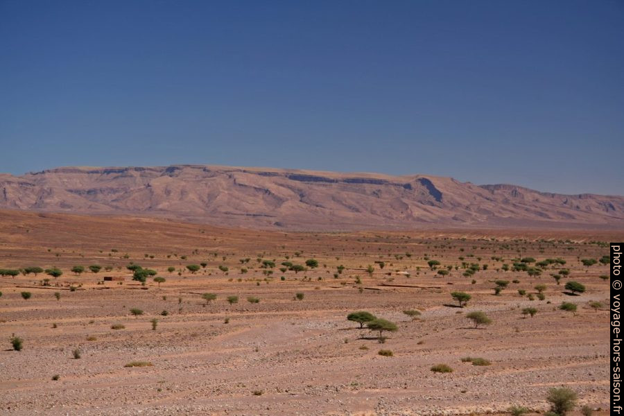 Contreforts sud du Djebel Sarhro. Photo © André M. Winter