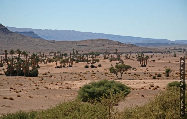 Dunes dans la palmeraie de Tizzarine. Photo © André M. Winter