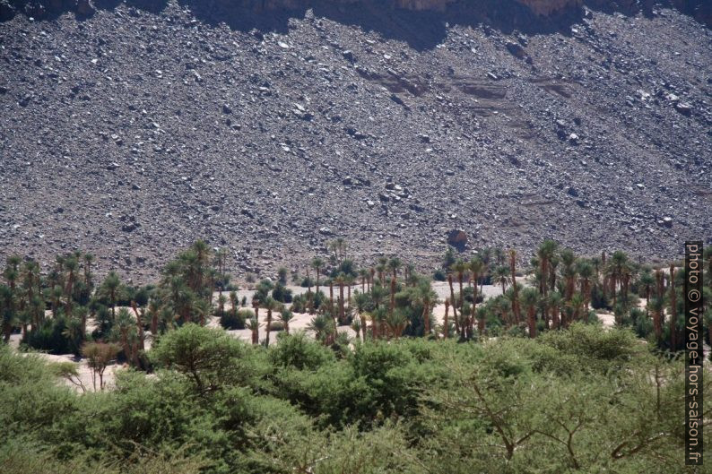 Oasis ressérée près de Tazzarine. Photo © André M. Winter