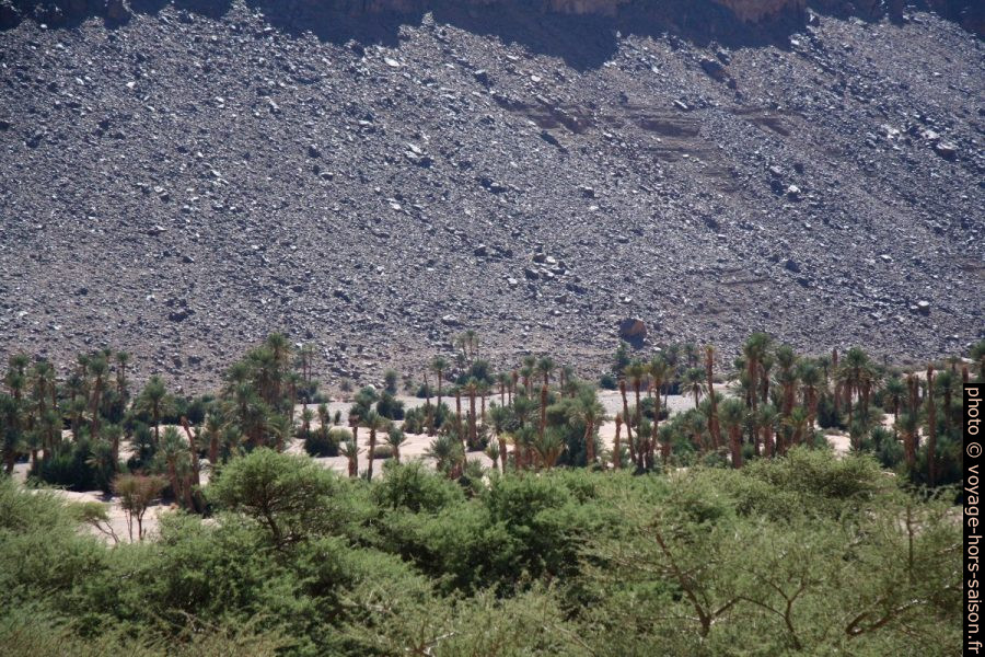 Oasis ressérée près de Tazzarine. Photo © André M. Winter