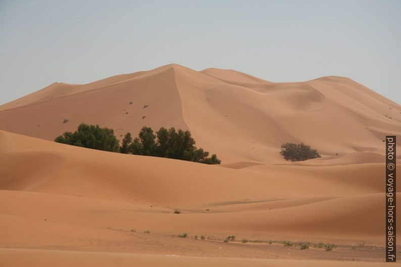 Grande dune de Merzouga. Photo © Alex Medwedeff