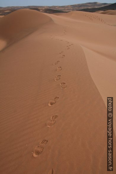 Balade dans les dunes de Merzouga. Photo © Alex Medwedeff