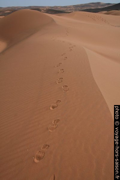 Balade dans les dunes de Merzouga. Photo © Alex Medwedeff