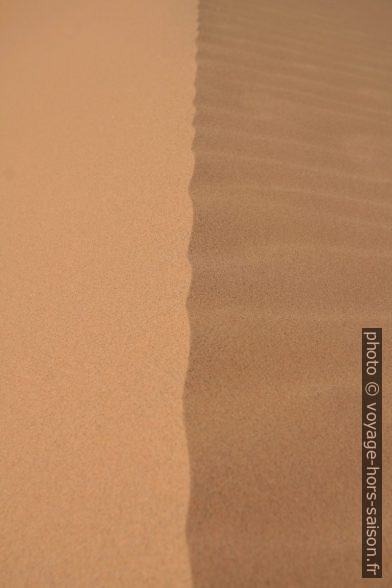 Crête de dune. Photo © Alex Medwedeff