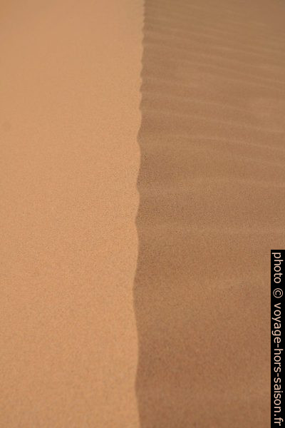 Crête de dune. Photo © Alex Medwedeff