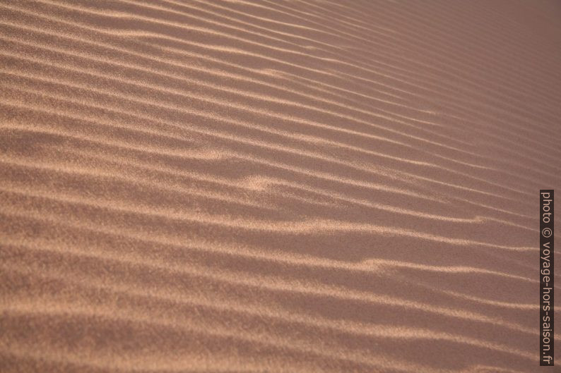 Vagues sur les dunes. Photo © André M. Winter