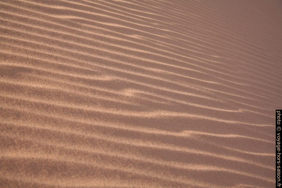 Vagues sur les dunes. Photo © André M. Winter