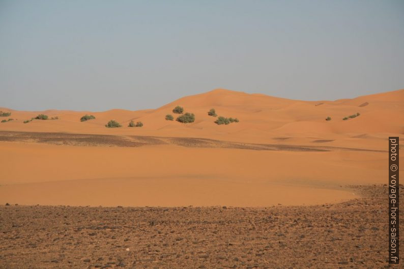 Dunes au sud de Erg Chebbi. Photo © André M. Winter