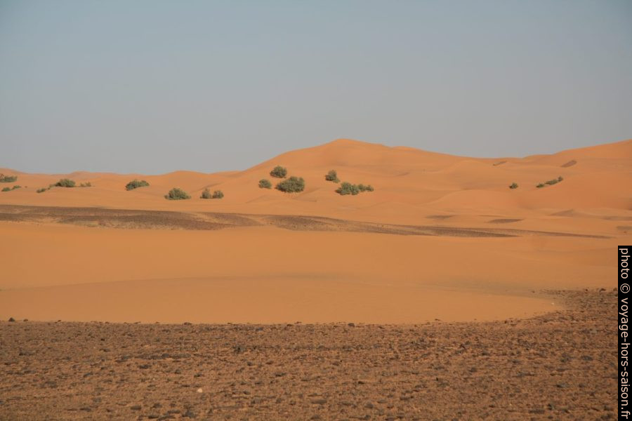Dunes au sud de Erg Chebbi. Photo © André M. Winter