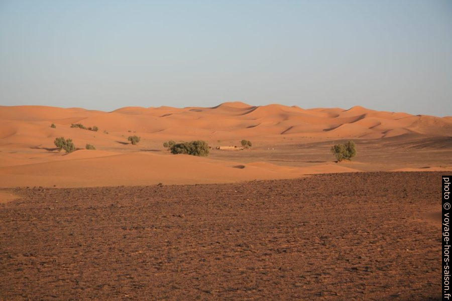 Camp dans les dunes au sud de Erg Chebbi. Photo © André M. Winter