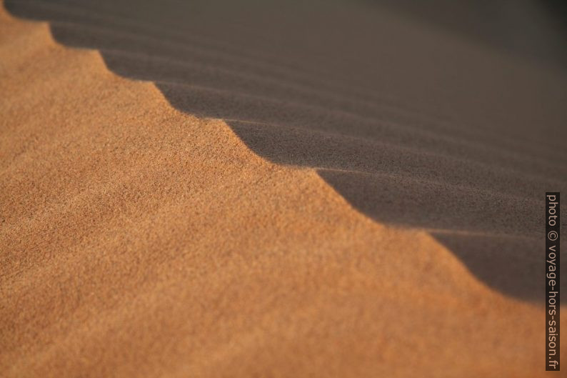 Détail d'une crête de dune. Photo © Alex Medwedeff