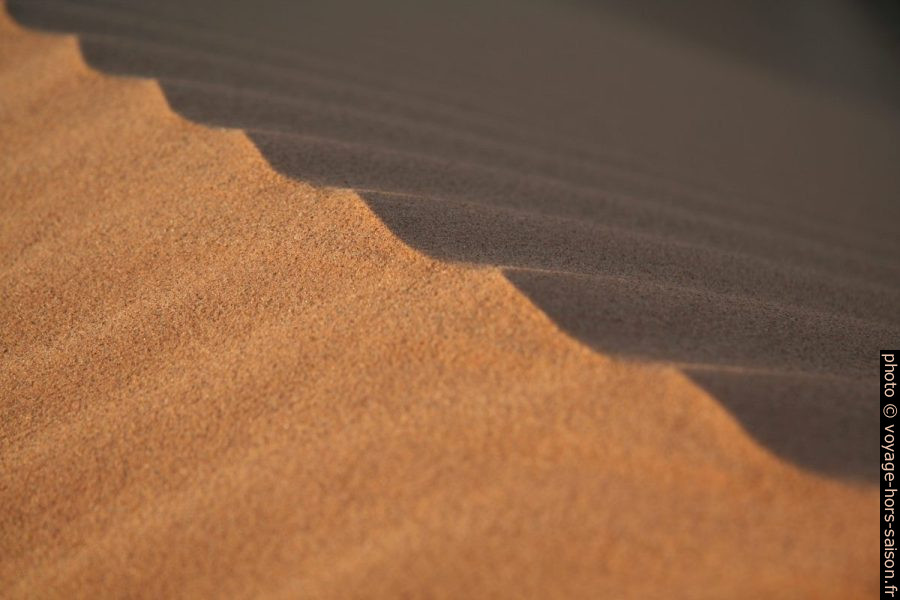 Détail d'une crête de dune. Photo © Alex Medwedeff