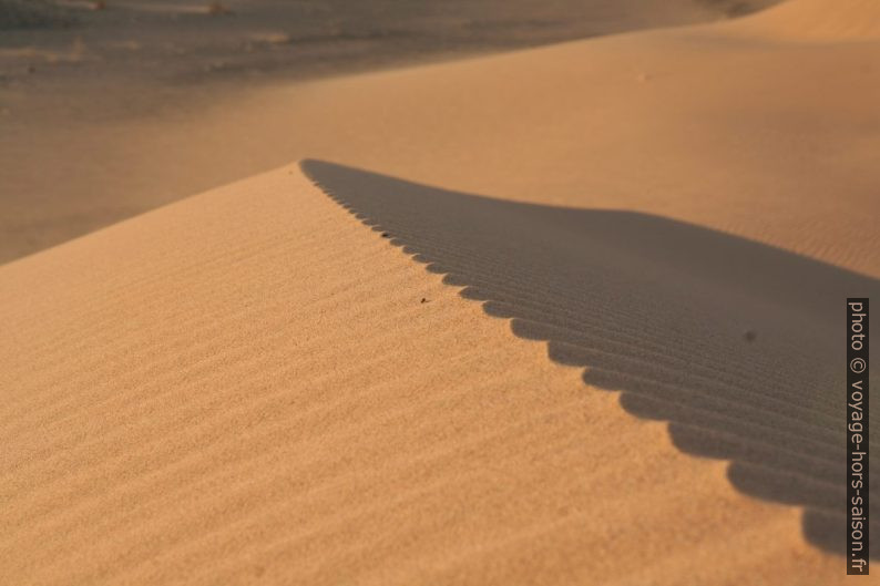 Crête d'une dune. Photo © Alex Medwedeff