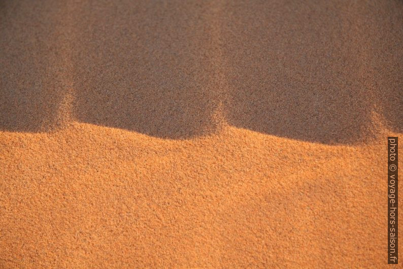 Ombres des vagelettes sur la crête de dune. Photo © Alex Medwedeff